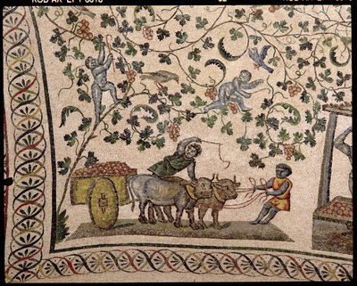 La cosecha de uvas de Roman