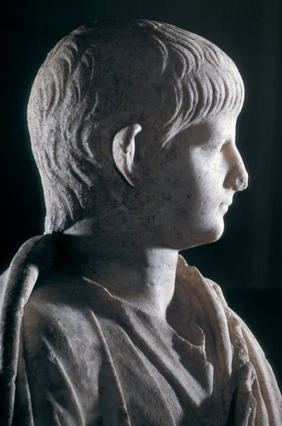 Estatua togada del joven Nerón, vista lateral de la cabeza, c.50 AD (detalle) de Roman