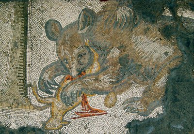 Imagen Desconocida de Roman