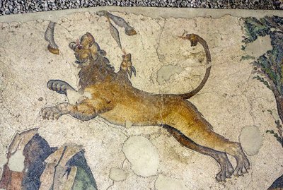 Imagen desconocida de Roman