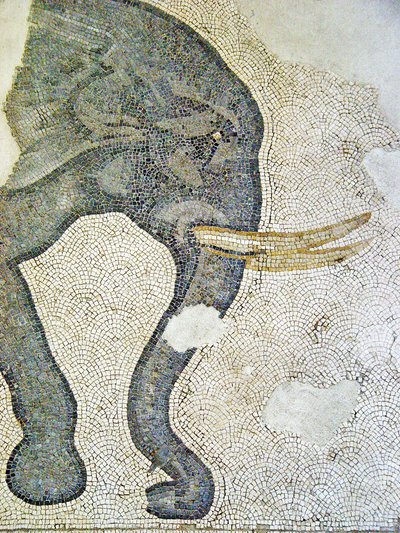 Imagen desconocida de Roman