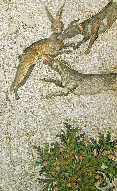 Imagen Desconocida de Roman