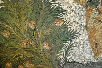 Imagen desconocida de Roman