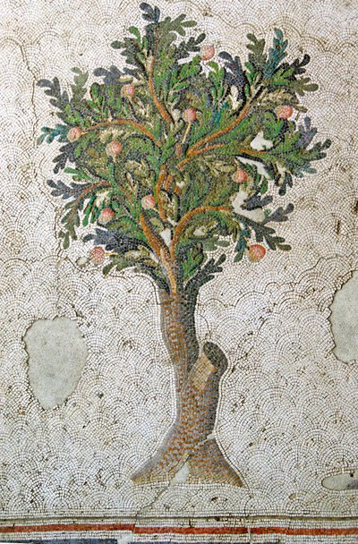 Imagen desconocida de Roman