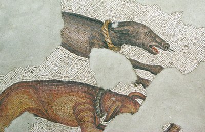 Imagen desconocida de Roman