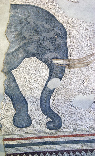 Imagen desconocida de Roman