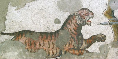 Imagen desconocida de Roman