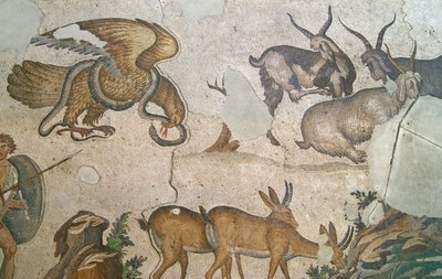 Imagen desconocida de Roman
