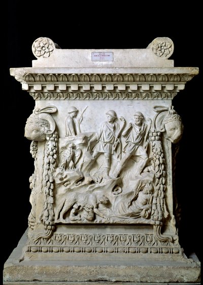 Imagen desconocida de Roman