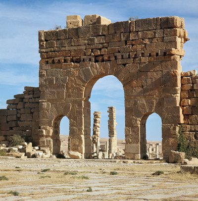 Vista del sitio arqueológico a través de la Puerta de Antonino de Roman