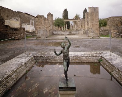 Vista de la Casa del Fauno de Roman
