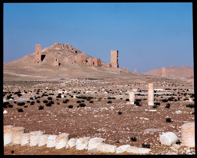 Vista de las tumbas torre de Iamblichus y Elahbel de Roman