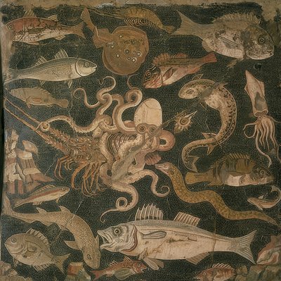 Animales acuáticos, lucha entre un pulpo y una langosta de Roman