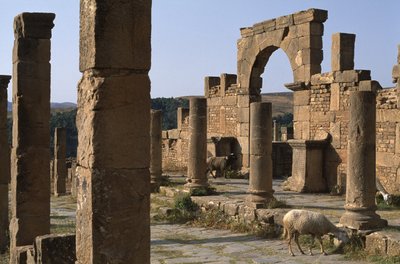 Cardo y entrada del Mercado de Cosinius, Alto Período Imperial (27 a.C.-395 d.C.) de Roman Imperial Period
