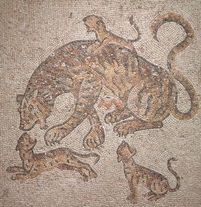 Tigresa y Cachorros, 300s de Roman Imperial Period