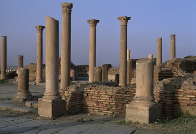Vista de la Biblioteca, c.100 d.C., Período Alto Imperial (27 a.C.-395 d.C.) de Roman Imperial Period