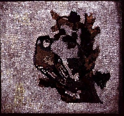 Pájaro en un árbol de Roman Roman