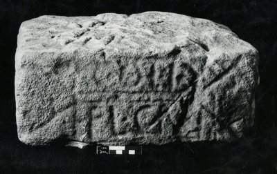 Piedra centurial de Roman Roman