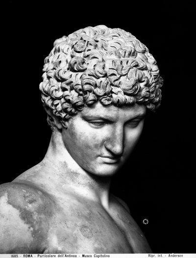 (detalle) de Antínoo de Roman Roman