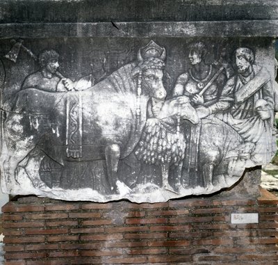 Foro Romano: Suovetaurile (sacrificio de un cerdo, un carnero y un toro). Roma de Roman Roman