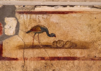 Fresco que representa un pájaro del peristilo de la Casa de Cayo Julio Polibio, Pompeya (Lista del Patrimonio Mundial de la UNESCO de Roman Roman