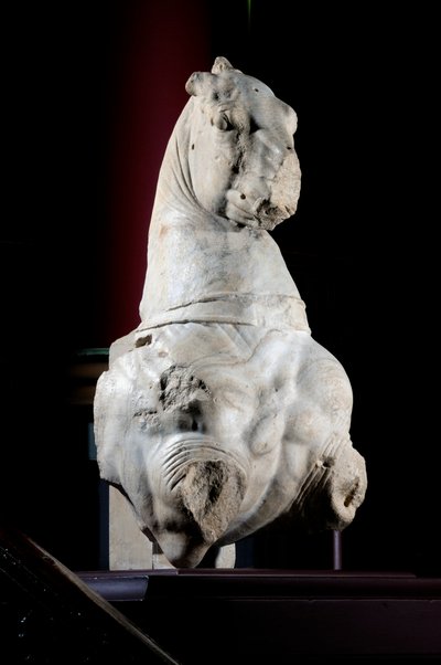 Parte frontal de un caballo de Roman Roman