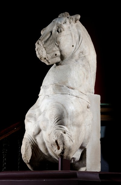 Parte frontal de un caballo de Roman Roman
