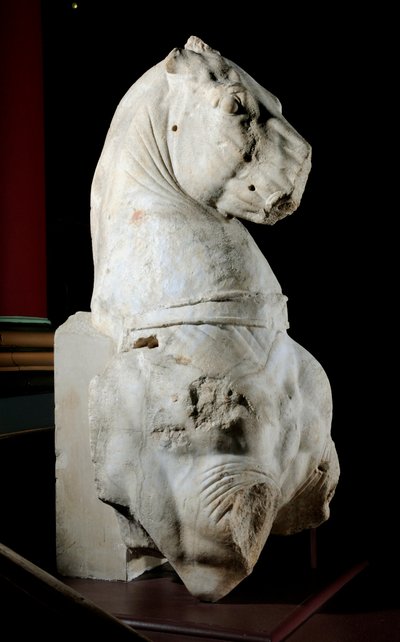 Parte frontal de un caballo de Roman Roman