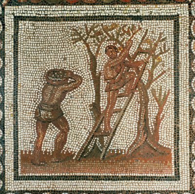 Recogida de aceitunas (mosaico) de Roman Roman