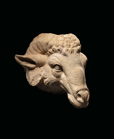 Cabeza de un carnero, c. siglo I a.C. - siglo I d.C. (mármol) de Roman Roman