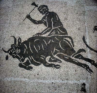 Mosaico que representa una escena de matanza de un toro encontrado en Ostia (Ostia) (cerca de Roma). Actualmente conservado en la antigua Sala de Bomberos de Ostia. de Roman Roman