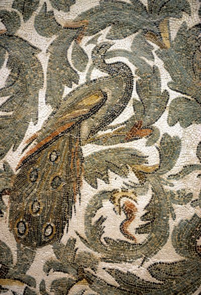Pavo real, detalle de mosaico - Siglo IV d.C., Museo Bardo, Túnez de Roman Roman