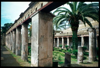Peristilo de la casa de Argo, siglo V a.C.-siglo I d.C. de Roman Roman
