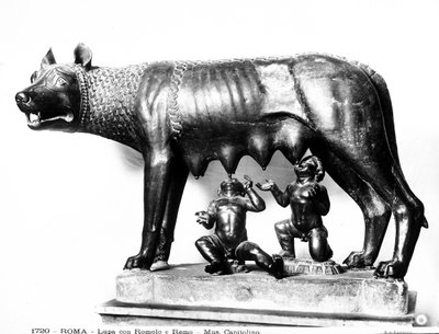 Rómulo y Remo de Roman Roman