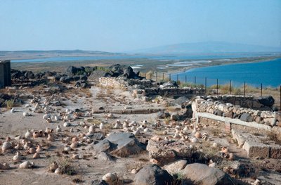 Vista del sitio de la ciudad de Tharros, antiguo puerto púnico-romano, fundado por los fenicios en Cerdeña, Italia de Roman Roman