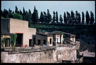 Solarium de la casa del atrio en mosaico, siglo V a.C.-siglo I d.C. de Roman Roman