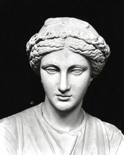 Estatua de Clío sosteniendo un pergamino, detalle de la cabeza (piedra) de Roman Roman