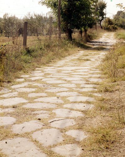 Via Flaminia, Roma de Roman Roman