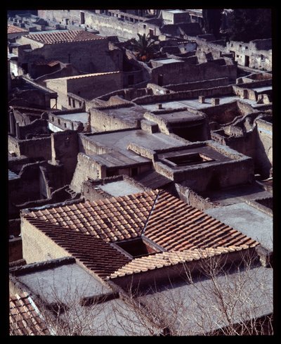 Vista de la Casa sannitica, siglo V a.C.-I d.C. de Roman Roman