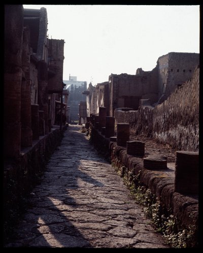 Vista de una calle, siglo V a.C.-siglo I d.C. de Roman Roman