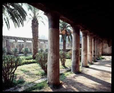 Vista del peristilo de la Casa de Argo (casa de Argos), siglo V a.C.-I d.C. de Roman Roman