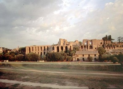 Vista del Palatino desde el Circo Máximo de Roman Roman