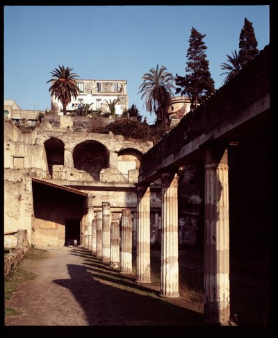 Vista de la palestra de Roman Roman