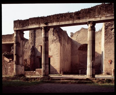 Vista de la palestra de Roman Roman