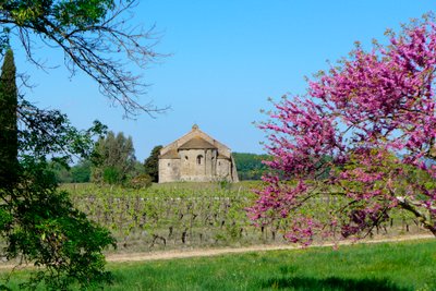 Capilla románica Saint-Etienne de Vaissiere en Azille (fotografía) de Romanesque