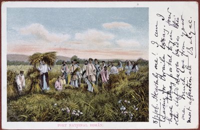 Postal que representa campesinos rumanos cosechando, 1906 de Romanian School