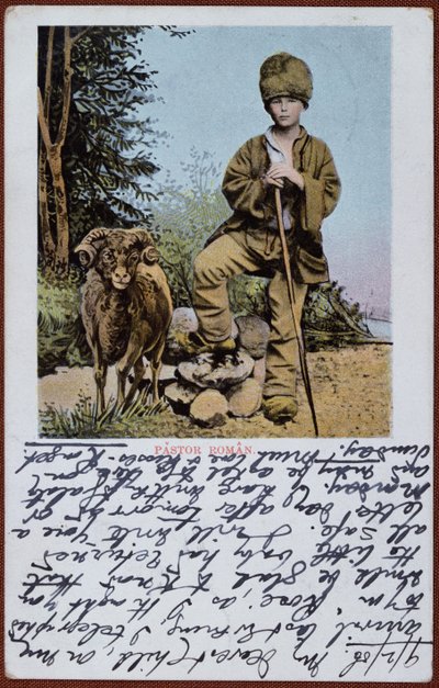 Postal que representa a un niño pastor rumano, c.1906 de Romanian School