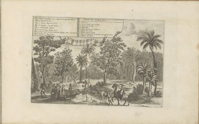 Bomen en specerijen Plantas indias, etc. / Indiaensche kruyden, etc. (título sobre el objeto) Las Indias Orientales y Occidentales y otros lugares (título de la serie) de Romeyn de Hooghe