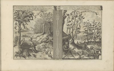 Planten, vogels en pepervelden Loua, Pineapple Musa / Plants and Birds of India // Peeper-Gewassen / Pepper Plantation (título sobre el objeto) Las Indias Orientales y Occidentales y otros lugares (título de la serie) de Romeyn de Hooghe