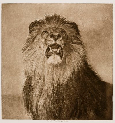  de Rosa Bonheur